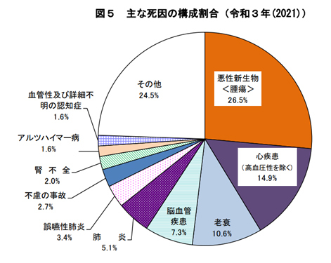 健康メモ11_主な死因の構成割合